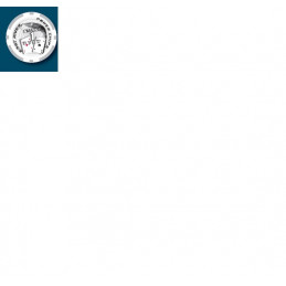 jeton de poker snake 1