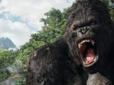 Les surnoms des mains de Poker